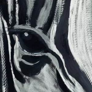 Pintura cebra, 100 x 100 cm