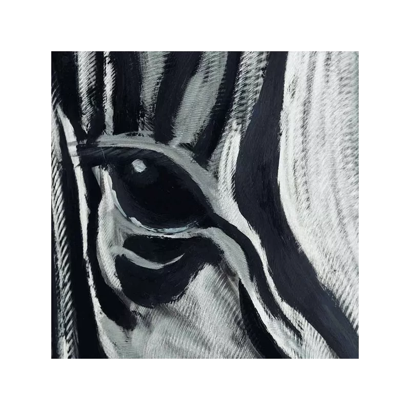 Pintura cebra, 100 x 100 cm